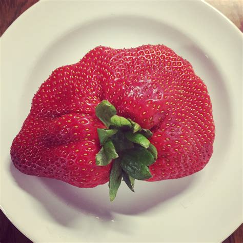 The Worlds Biggest Strawberry River City Food Bank On X: "World's