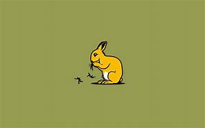 Image result for Funny Bunny