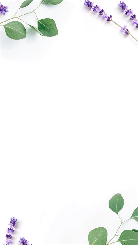 Foundation powder savvy minerals by young living – Artofit