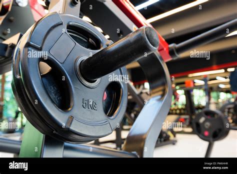 Weight Lifting Gym 的图像结果