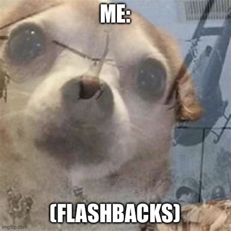 Vietnam Dog Flashbacks - Imgflip
