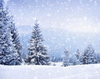 Stormwater Basics 的图像结果