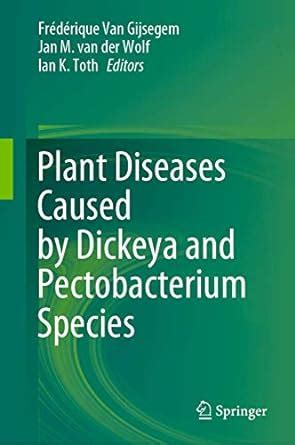 Buy Plant Diseases Caused by Dickeya and Pectobacterium Species Book ...