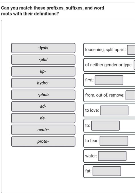 can you match these prefixes, suffixes, and word roots with their ...