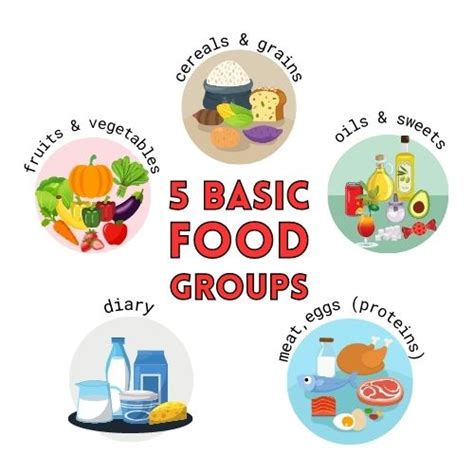 Image result for Five Basic Food Groups