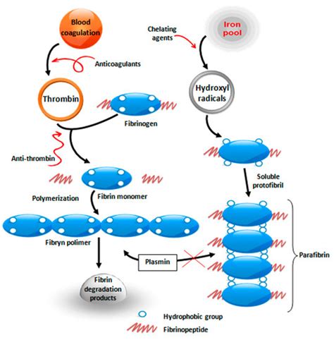 Application of Sodium Selenite in the Prevention and Treatment of Cancers