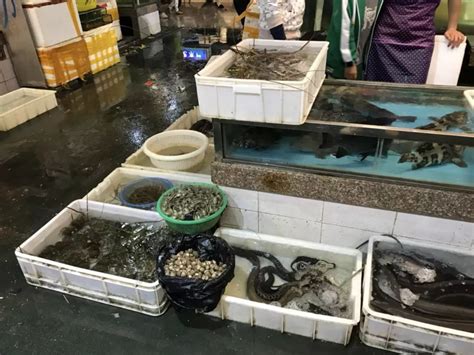 休渔期结束 海鲜降价淡水鱼却涨价了
