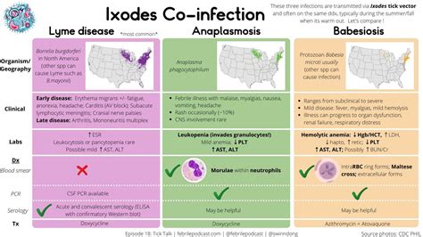 Diseases caused by Ixodes Ticks - Lyme Disease, Anaplasmosis, Babesiosis