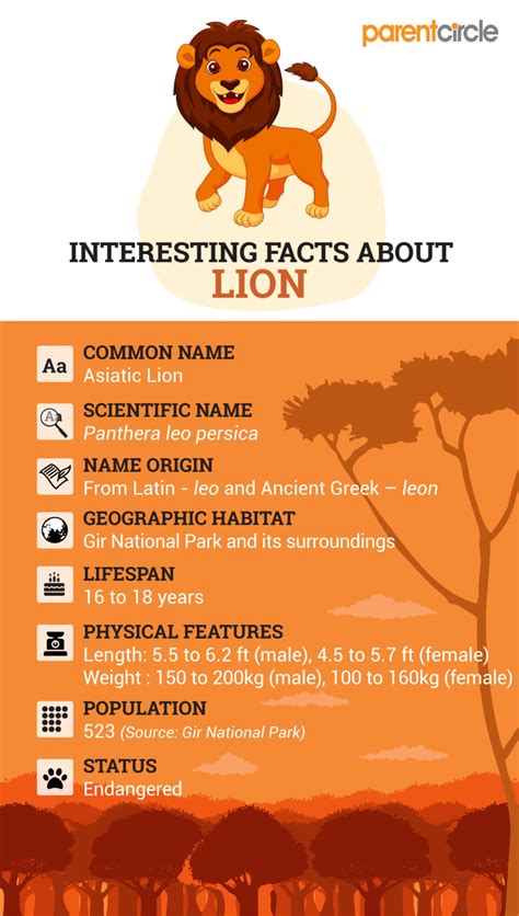 Fun Facts About Lions For Kids