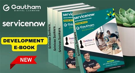 ServiceNow Development 的图像结果