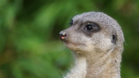 Image result for Basic Design to Practice HTML and CSS