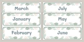 Botanical Themed Months of the Year Display Poster - Twinkl