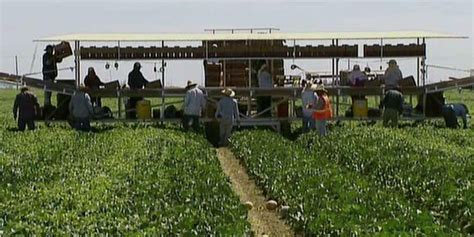 China targets California crops in escalating trade standoff | Fox News ...