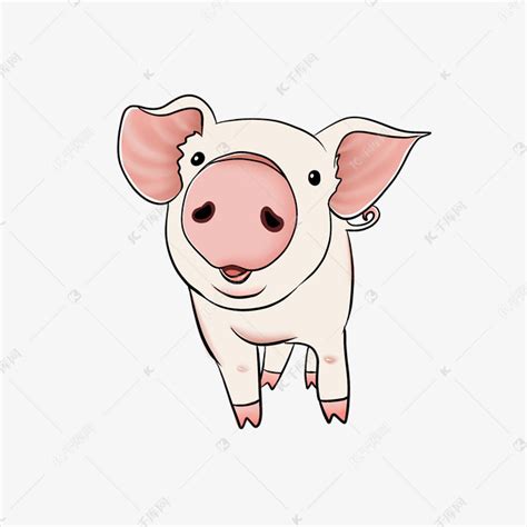 可爱小白猪正面头像素材图片免费下载-千库网