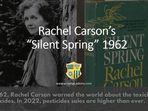 Silent Spring 的图像结果