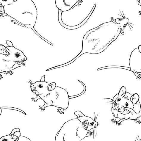 Free Printable Mouse Pattern 的图像结果