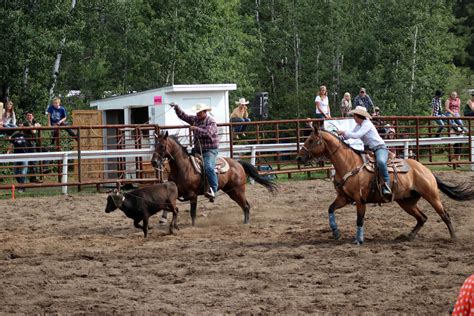 Image result for Team Roping Rodeo