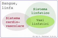 idraulica dispense idraulica circolatoria dispense medpop idraulica dispense idraulica circolatoria dispense medpop
