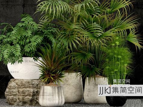 植物盆栽-快图网-免费PNG图片免抠PNG高清背景素材库kuaipng.com