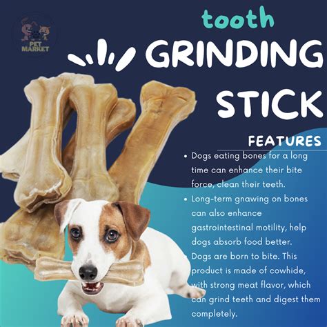 Why Does My Dog Grinds Her Teeth