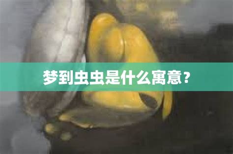 梦见胳膊上长虫子_周公解梦梦到胳膊上长虫子是什么意思_做梦梦见胳膊上长虫子好不好_周公解梦官网