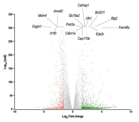 Volcano Plot Explained 的图像结果