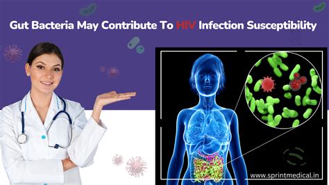 Gut Bacteria May Contribute To HIV Infection Susceptibility | Sprint ...