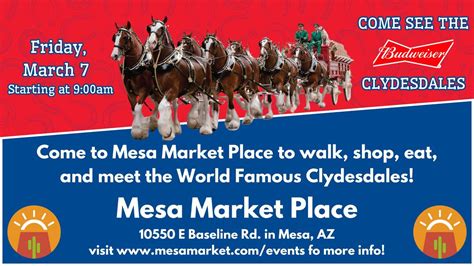 The Famous Budweiser Clydesdales at Mesa Market Place, 10550 E Baseline ...
