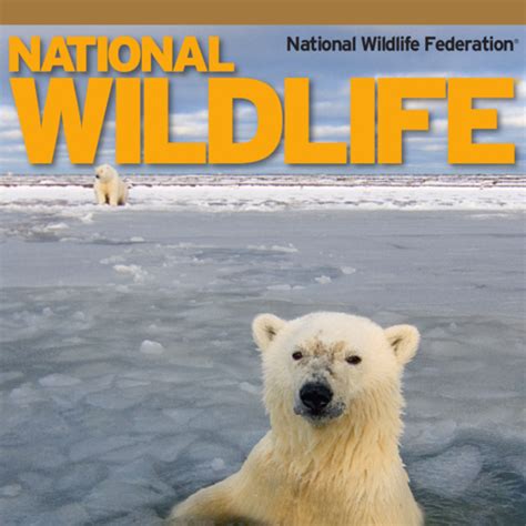 National Wildlife magazine, helping to protect the future of America's ...