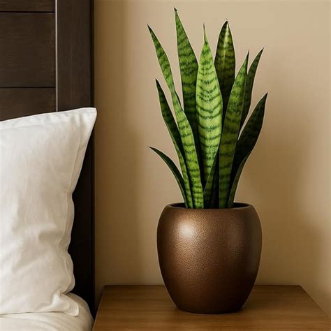 CINAGRO Metal Planter Pot for Indoor Plants, Round Decorative Flower ...