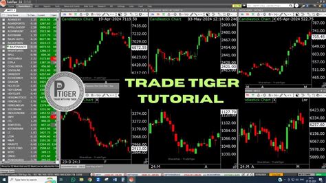Image result for TradeTiger Tutorialcustomization 22Sep