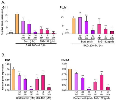 The Proteasome and Cul3-Dependent Protein Ubiquitination Is Required ...