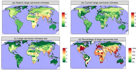 No land for carnivores: Animals that occupied 96% of the planet are ...