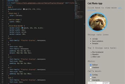 Image result for Front End HTML CSS Free Code Camp