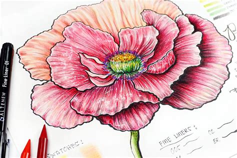 Image result for Fun Drawing Tricks