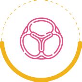 Best Heart Hospital in India | Cardiac Care Hospitals in India | HCG ...