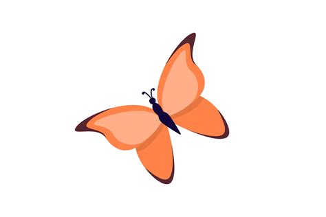 Image result for Butterfly Graph Design