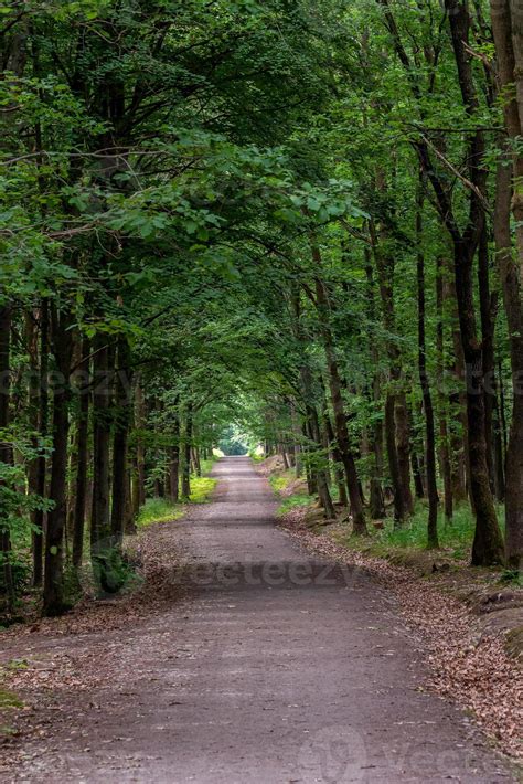 Road Path 的图像结果