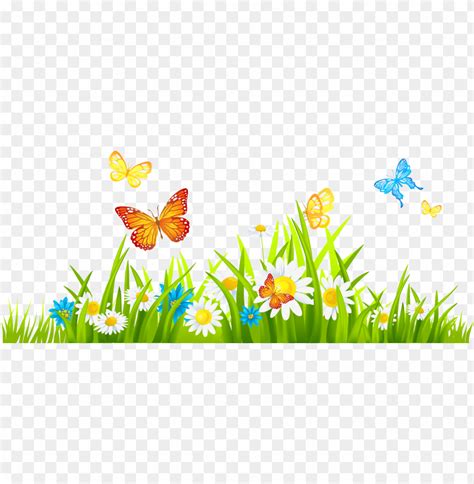 Image result for Spring Picture Border Texture PNG