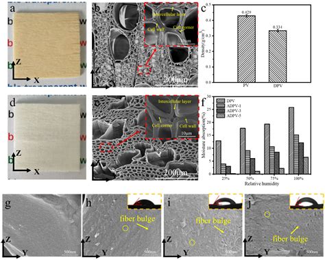 Preparation of Transparent Fast-Growing Poplar Veneers with a Superior ...