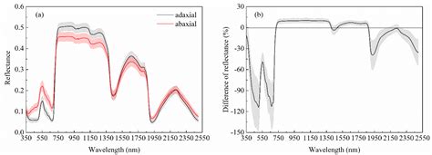 Estimating Peanut Leaf Chlorophyll Content with Dorsiventral Leaf ...
