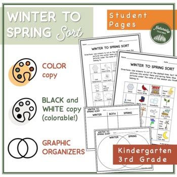 Image result for Sort Spring Worksheet