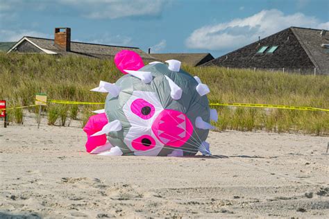 Soaring Above Brick: Kite Fest Brings Floating Marvels to Brick Beach ...