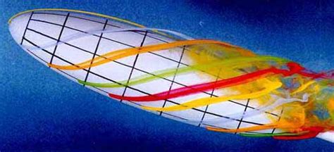 Image result for Flow Visualization Applications