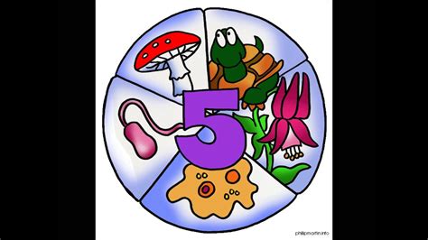 Image result for Classification Poster GCSE