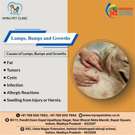 Latest News - MYRA PET CLINIC & SURGERY CENTRE,Indore