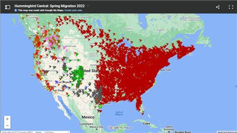 Image result for Current Hummingbird Fall Migration