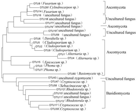 Microbial Community Analyses Associated with Nine Varieties of Wine ...