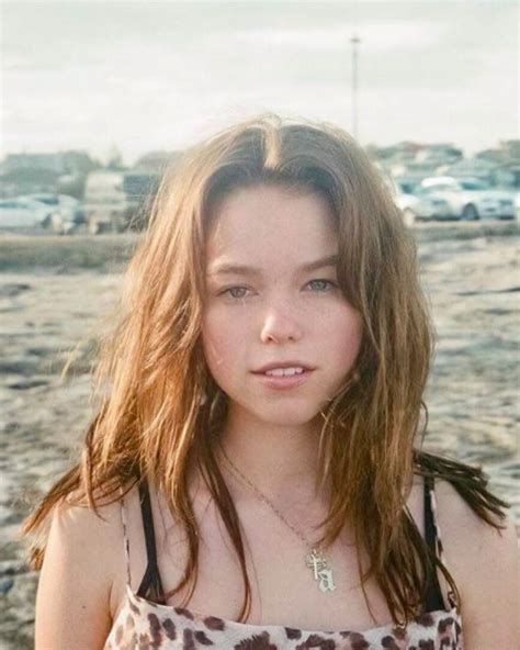 Image result for Difference Between Model and Algorithm