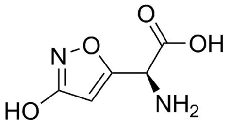 Human Poisoning from Poisonous Higher Fungi: Focus on Analytical ...